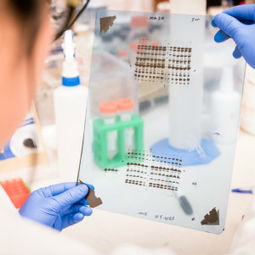 技术服务采购指南 价格与供应商信息解析